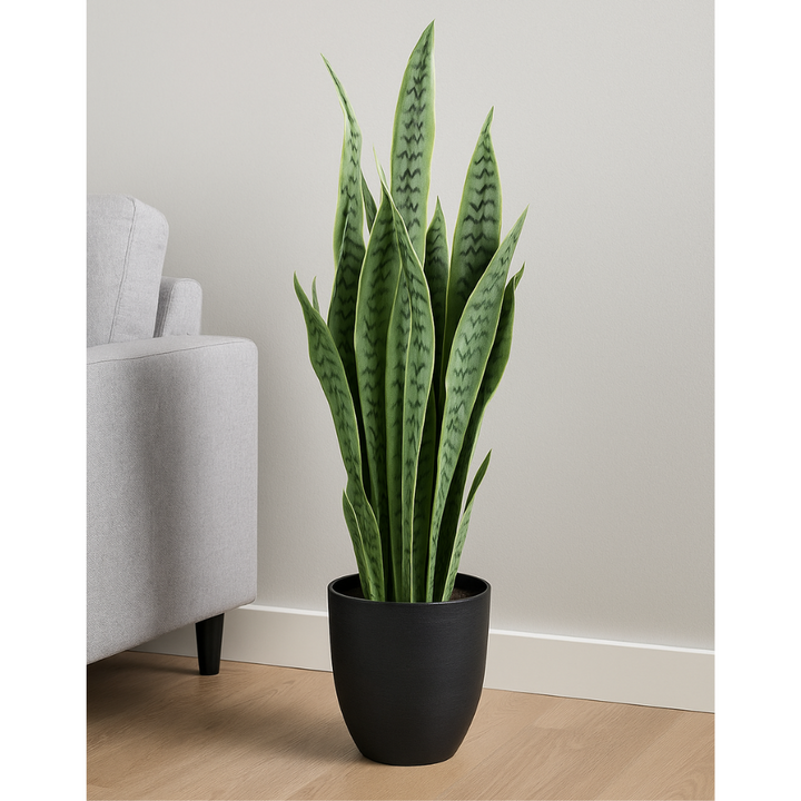 Kunstpflanze Sansevieria 90 cm