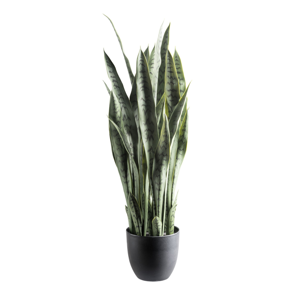 Kunstpflanze Sansevieria 90 cm