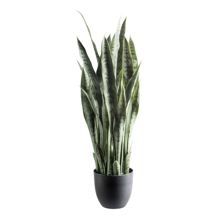 Kunstpflanze Sansevieria 90 cm