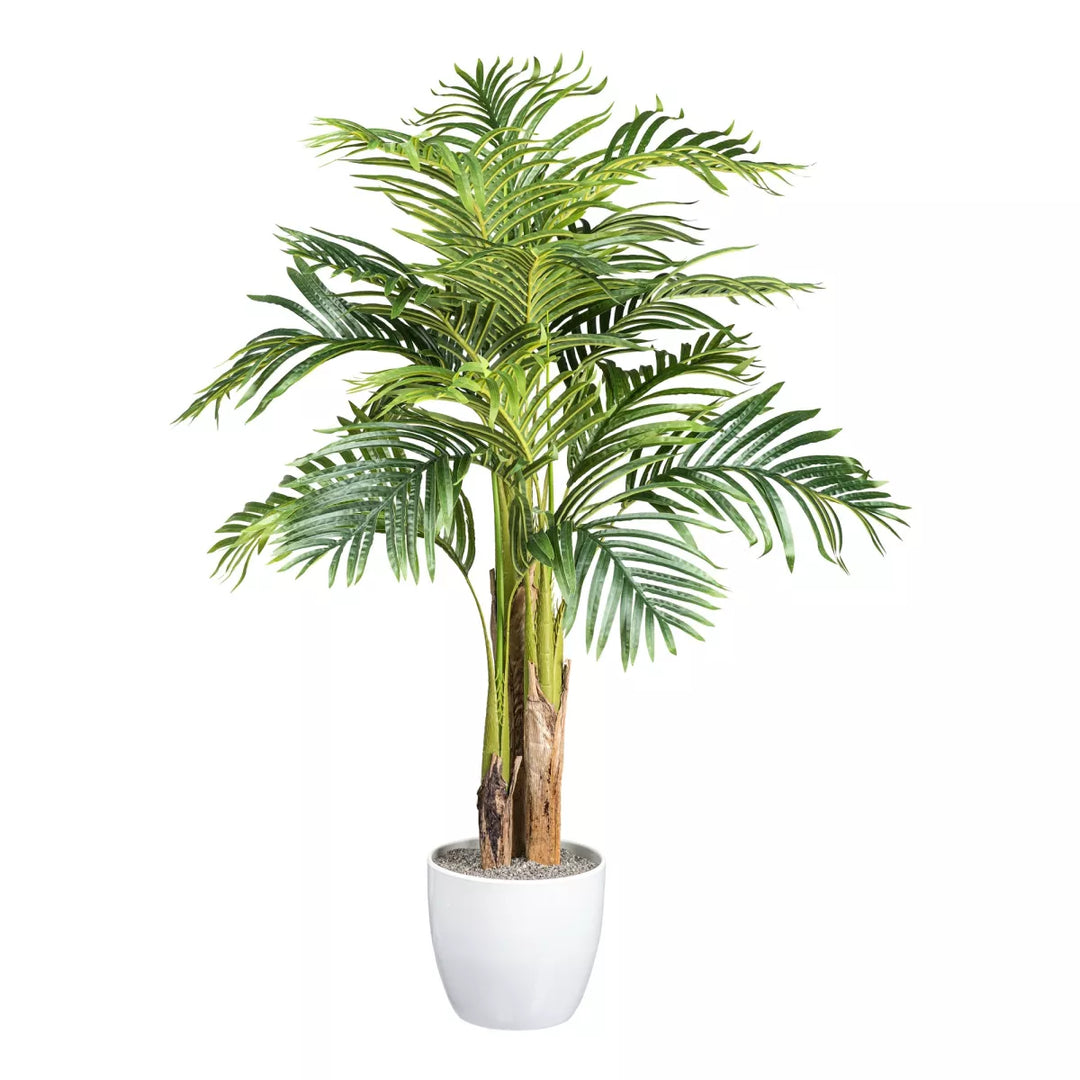 Flourify Areca-palm (goudpalm)