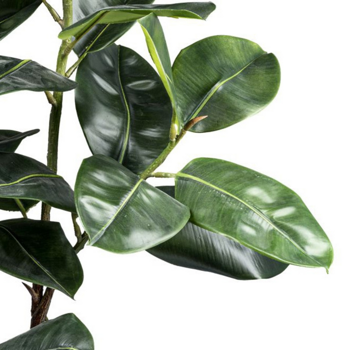 Ficus Elastica kunstplant 150 cm
