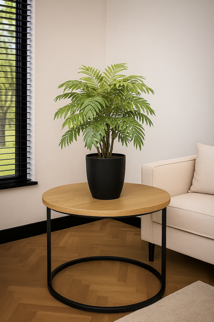 Varen in pot - 60 cm