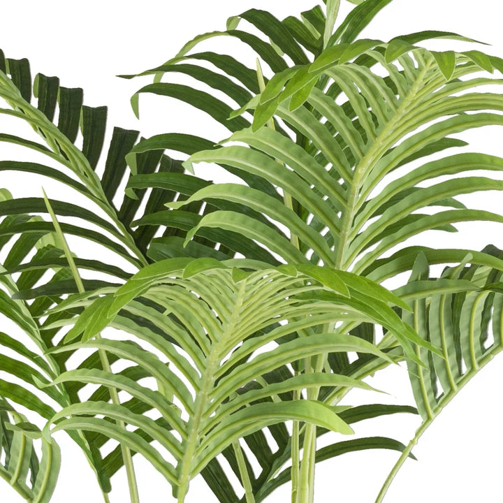 Flourify Bamboepalm 