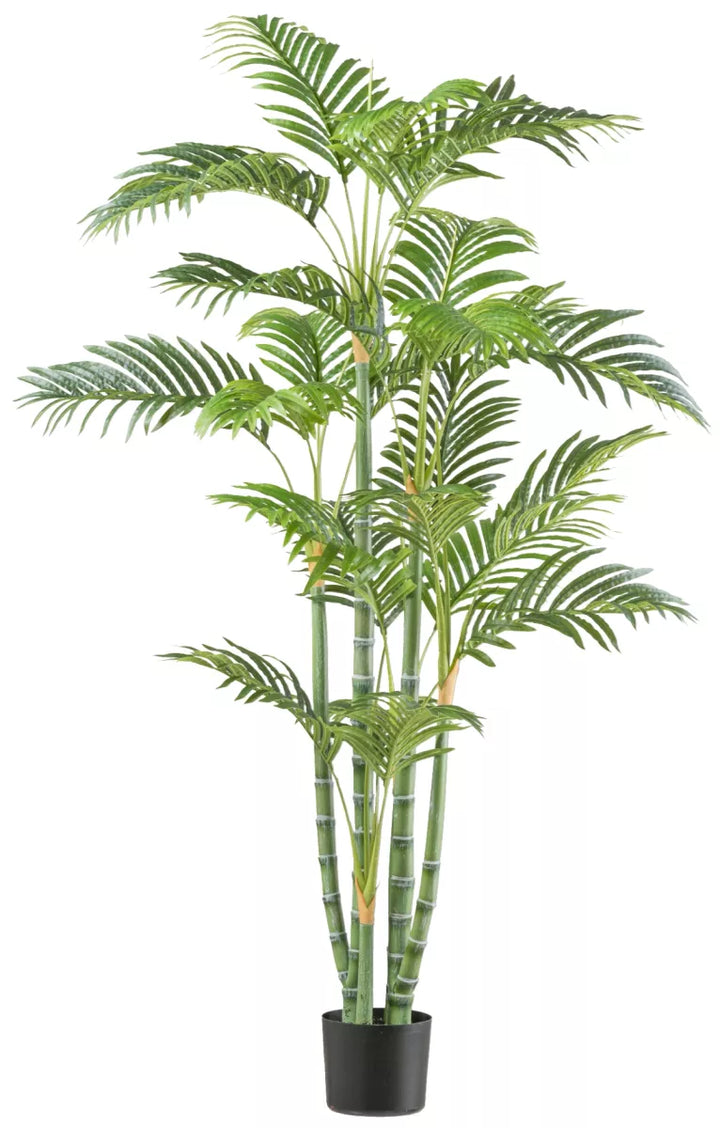 Flourify Bamboepalm