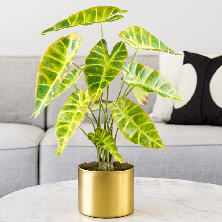 Alocasia longiloba kunstplant 54 cm