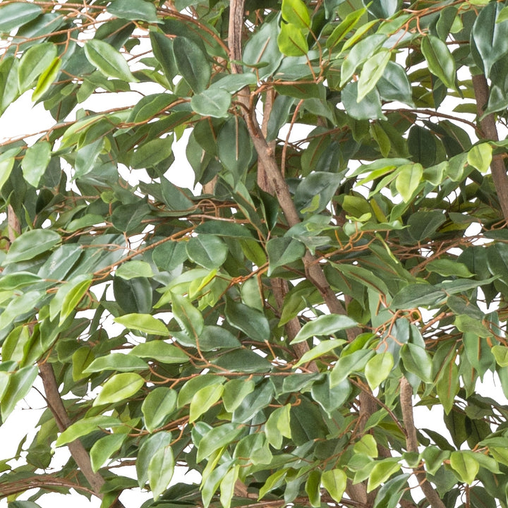 Ficus Benjamina kunstplant 260 cm