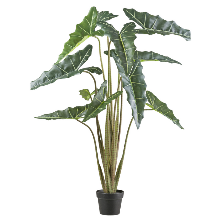 Alocasia zebrina Sarian kunstplant 130 cm