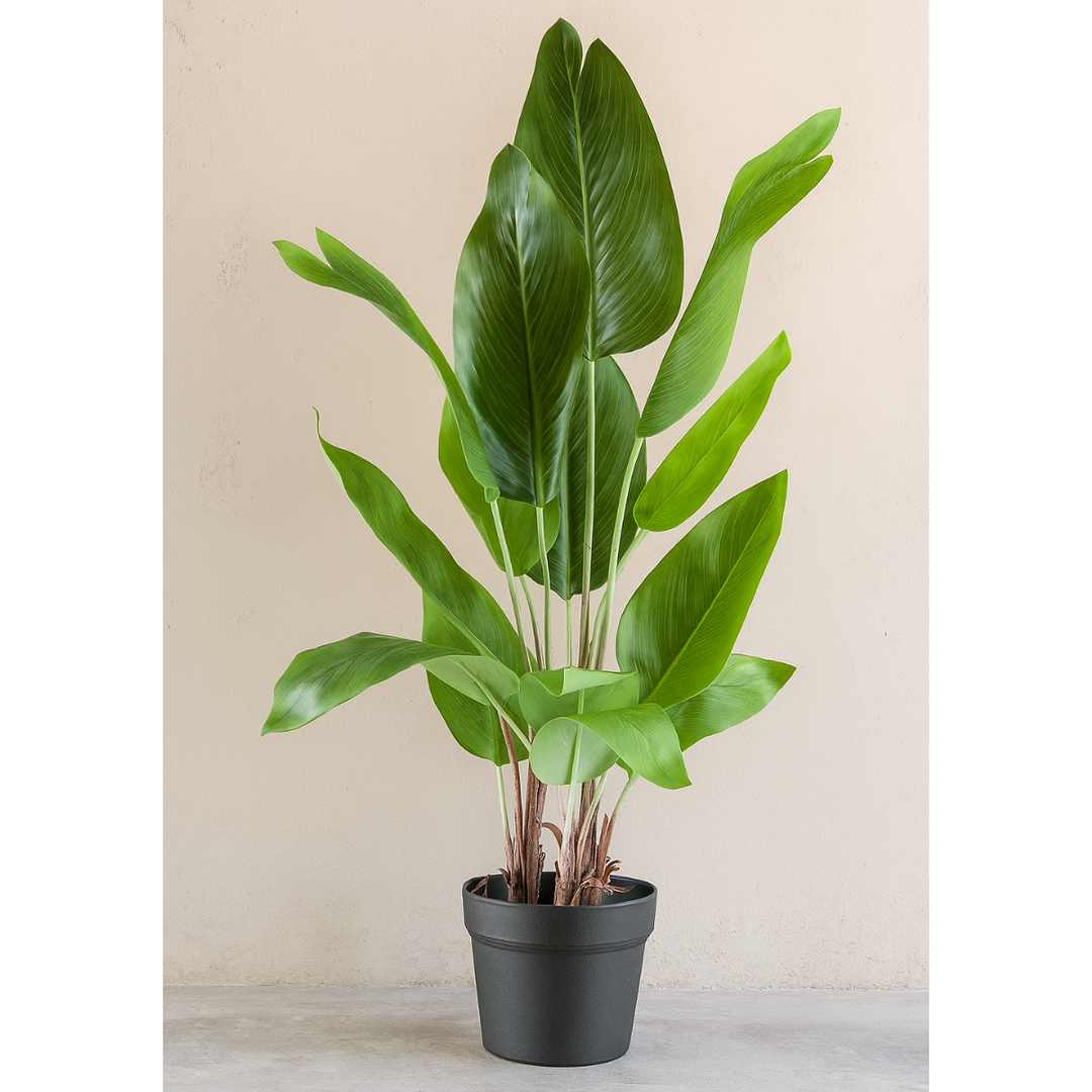 Strelitzia nicolai kunstplant 70 cm