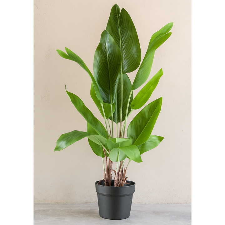 Strelitzia nicolai kunstplant 70 cm