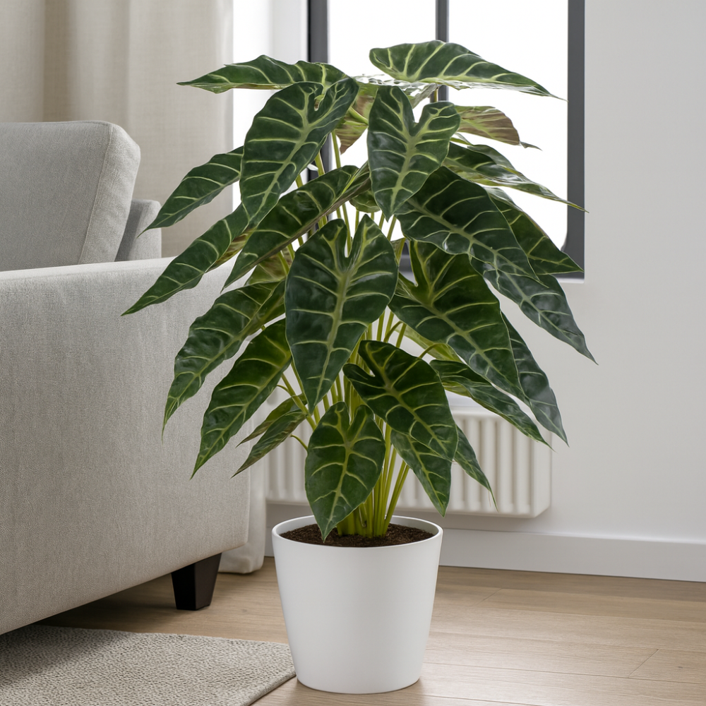 Alocasia kunstplant 68 cm