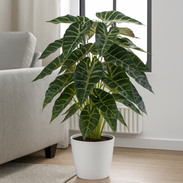 Alocasia kunstplant 68 cm