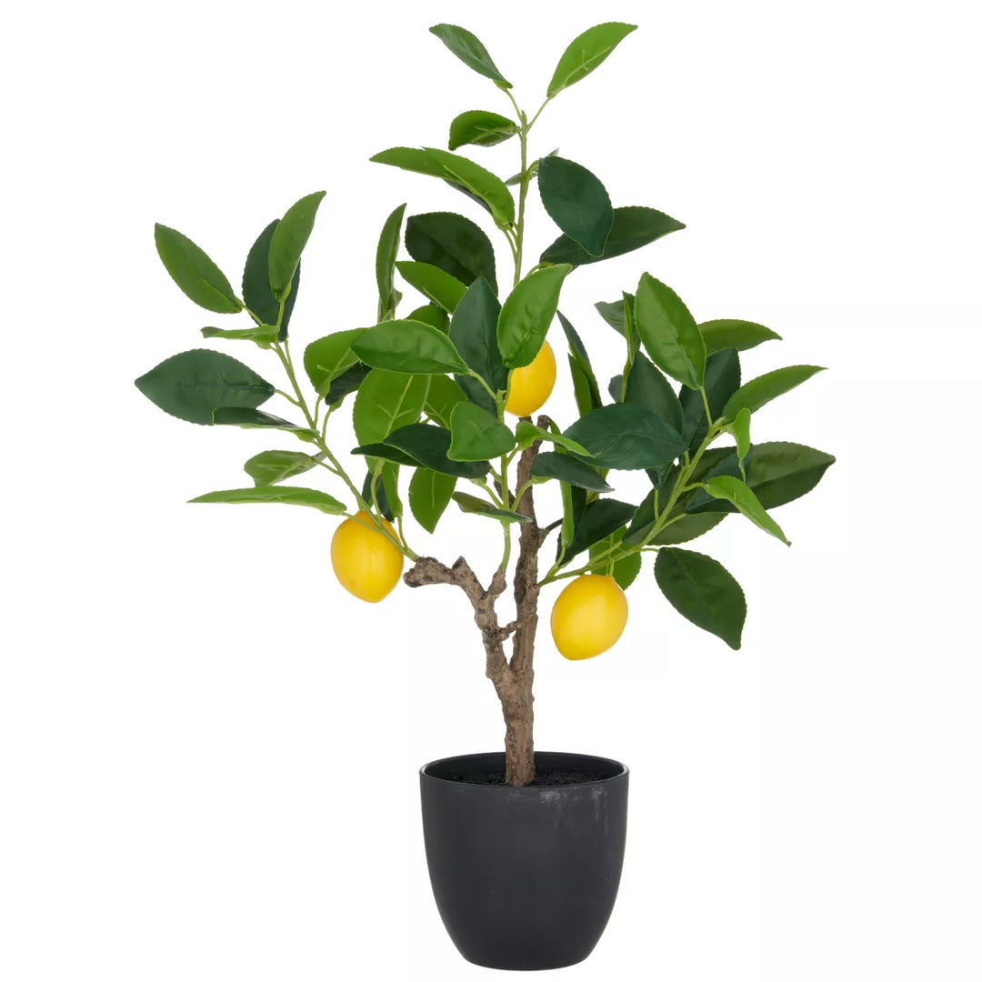 Flourify citroenboom kunstplant. 48 cm