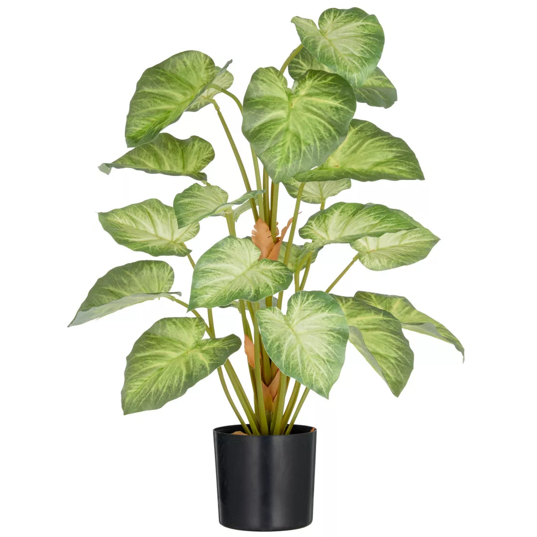 Flourify Syngonium kunstplant. 65 cm