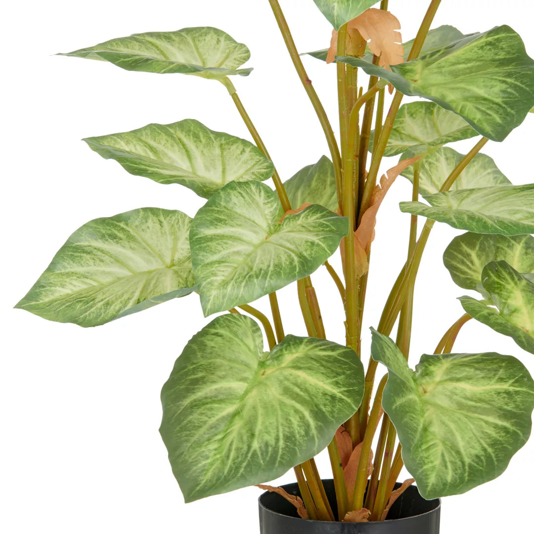 Flourify Syngonium kunstplant. 90 cm