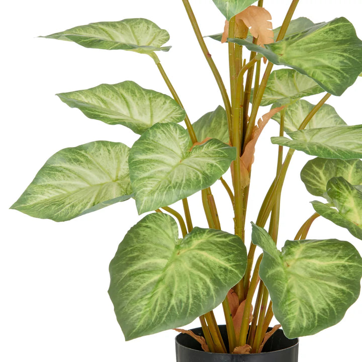 Flourify Syngonium kunstplant. 90 cm