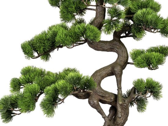Bonsai dennen kunstplant 65 cm