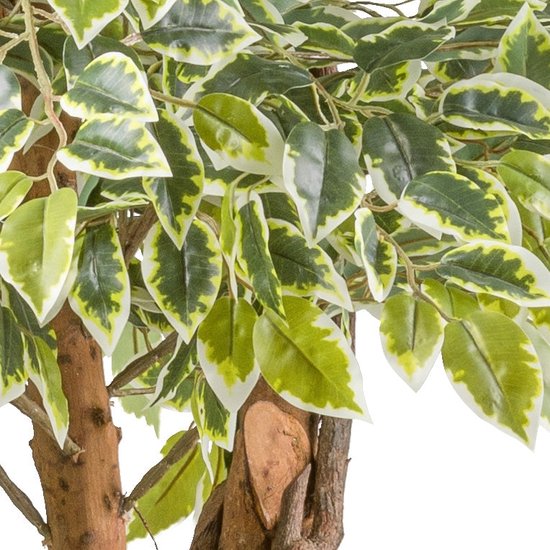Ficus Benjamina kunstplant 165 cm