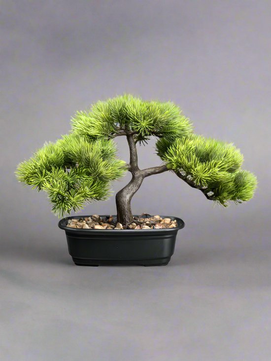 Bonsai dennen kunstplant 23 cm