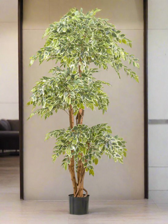 Ficus Benjamina kunstplant 165 cm