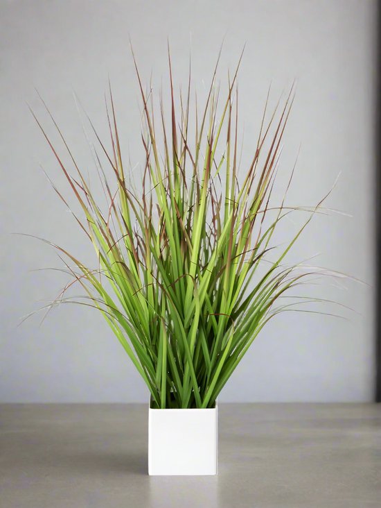 Blutgras Kunstpflanze 61 cm