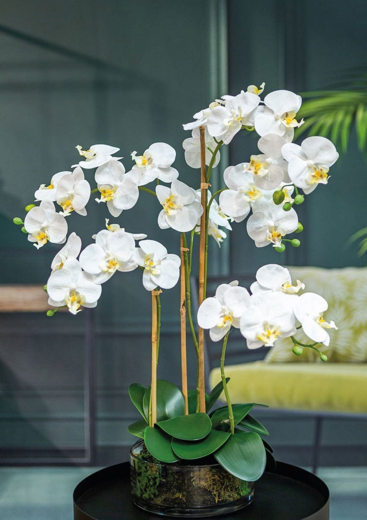 Orchidee kunstbloem 50 cm