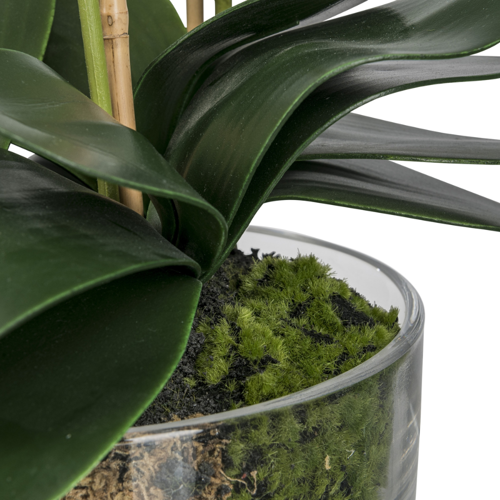 Orchidee kunstbloem 50 cm