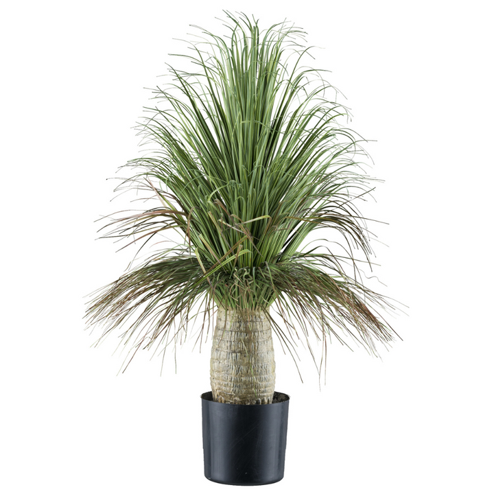 De Beaucarnea Recurvata kunstplant 60 cm