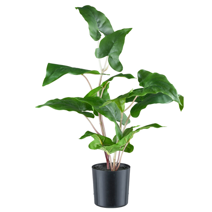 Colocasia esculenta Kunstpflanze 50 cm
