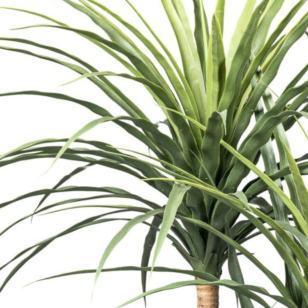 Dracaena kunstplant 160 cm