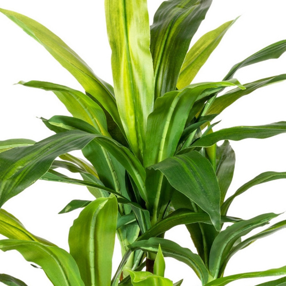 Dracaena kunstplant 80 cm