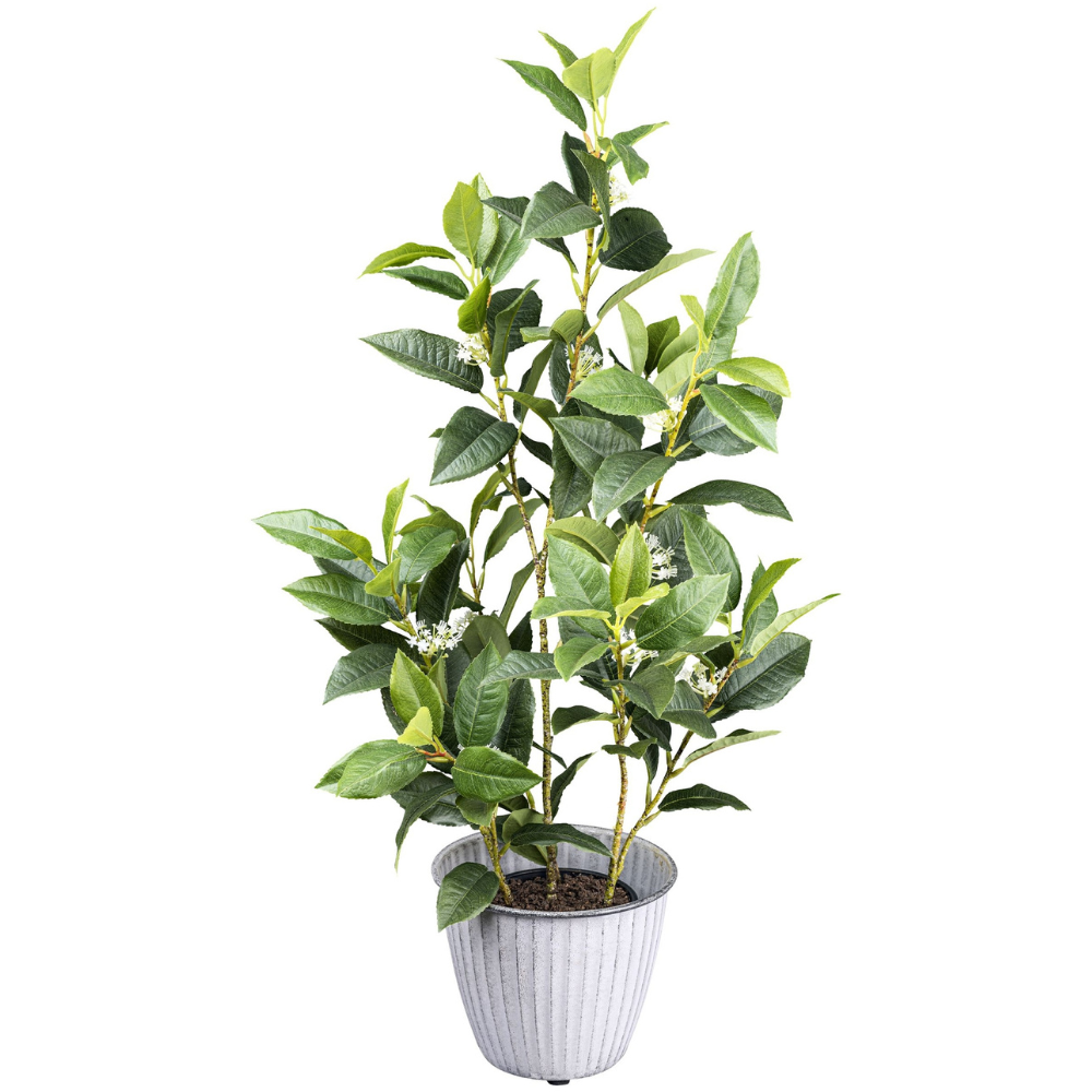 Osmanthus kunstplant 65 cm