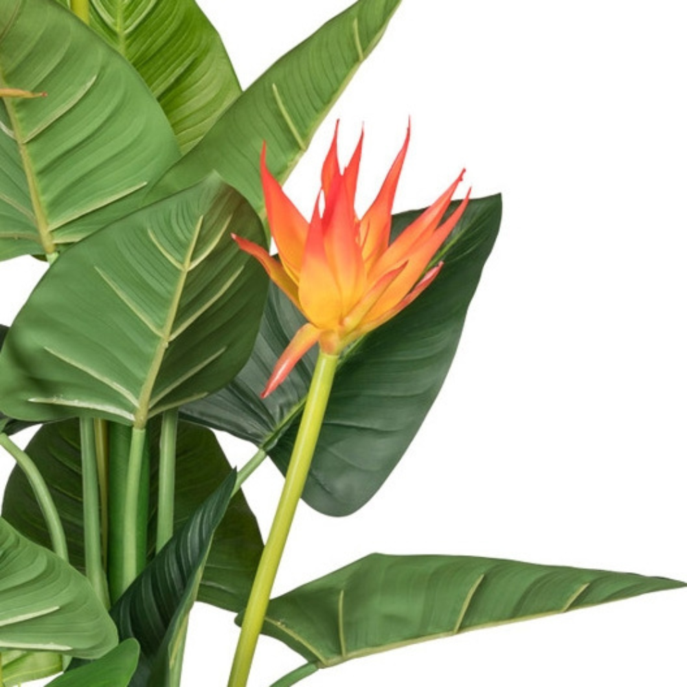 Kunstpflanze Guzmania 105 cm