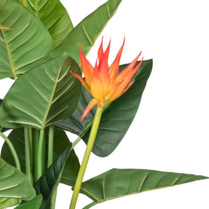 Kunstpflanze Guzmania 105 cm