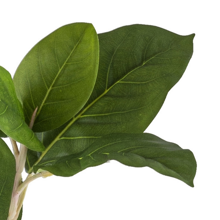 Ficus moclame kunstplant 115 cm