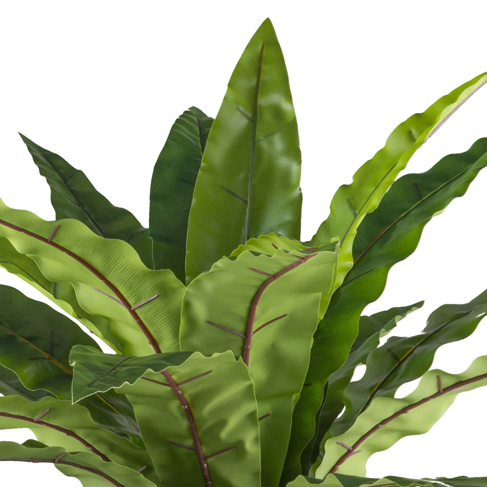 Asplenium kunstplant 105 cm