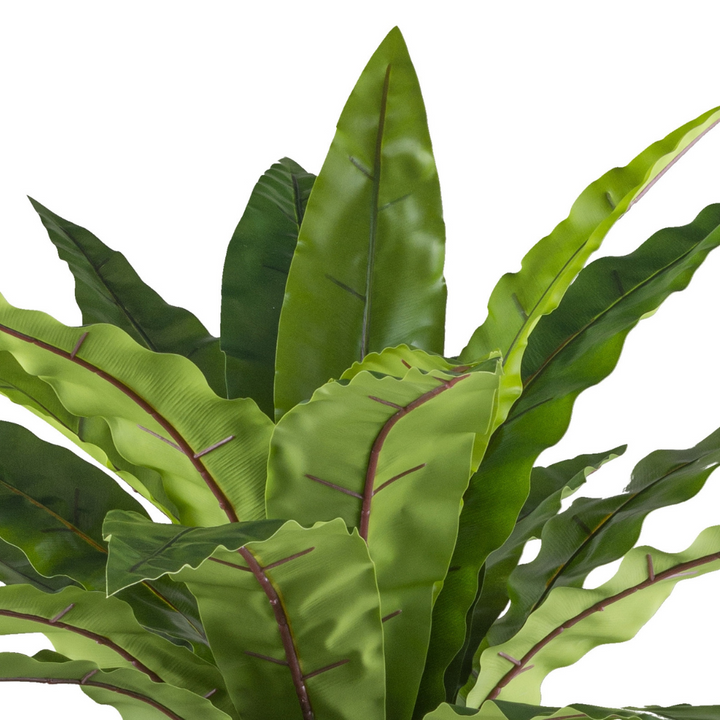 Asplenium kunstplant 105 cm