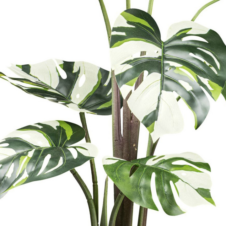 Künstliche Pflanze Monstera Variegata 100 cm