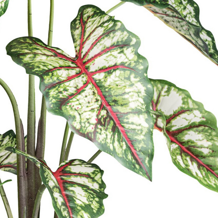 Syngonium Kunstpflanze 100 cm