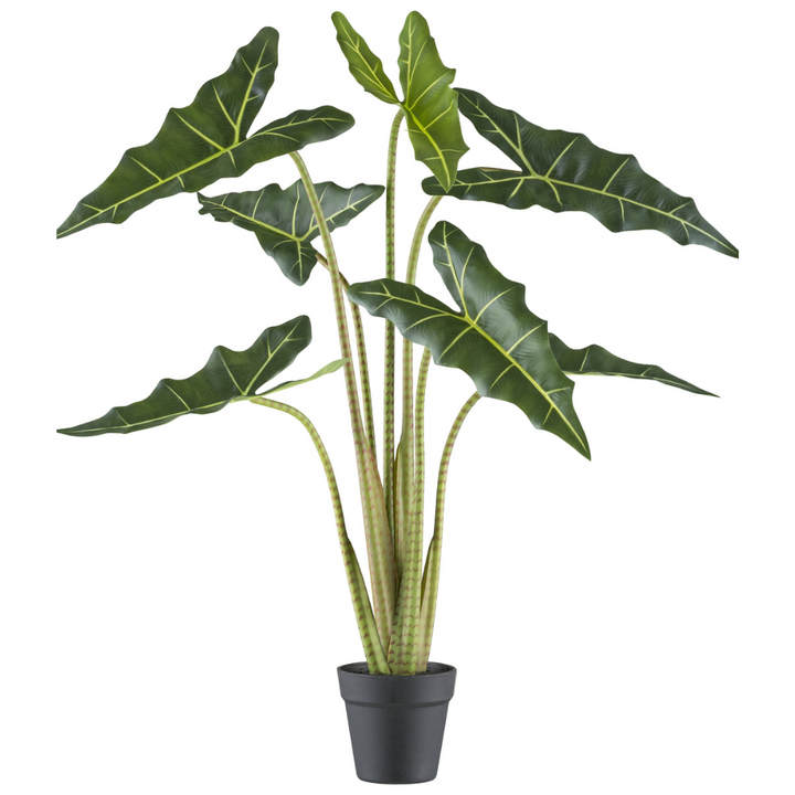 Alocasia zebrina Sarian Kunstpflanze 100 cm