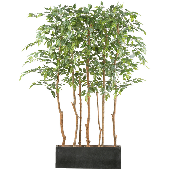 Ficus Benjamina ruimteverdeler kunstplant 160 cm