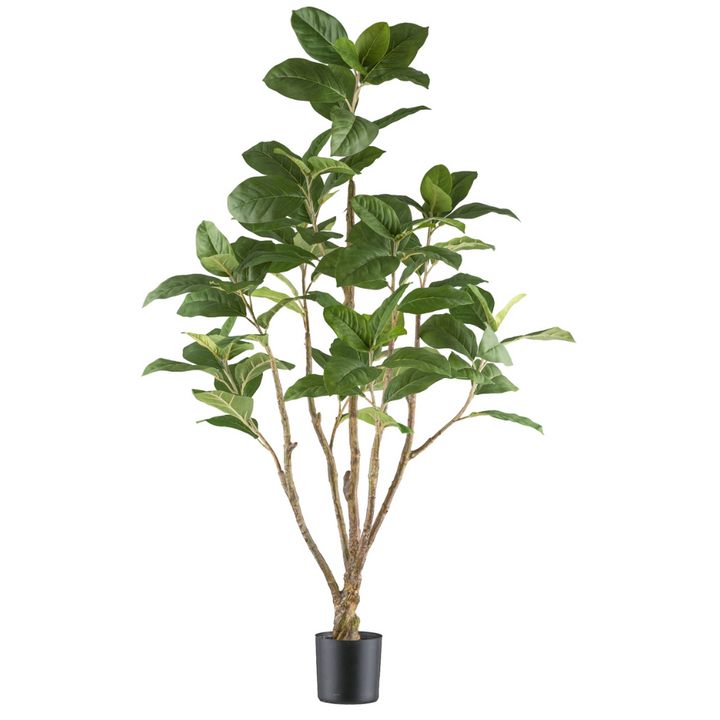 Ficus moclame kunstplant 115 cm