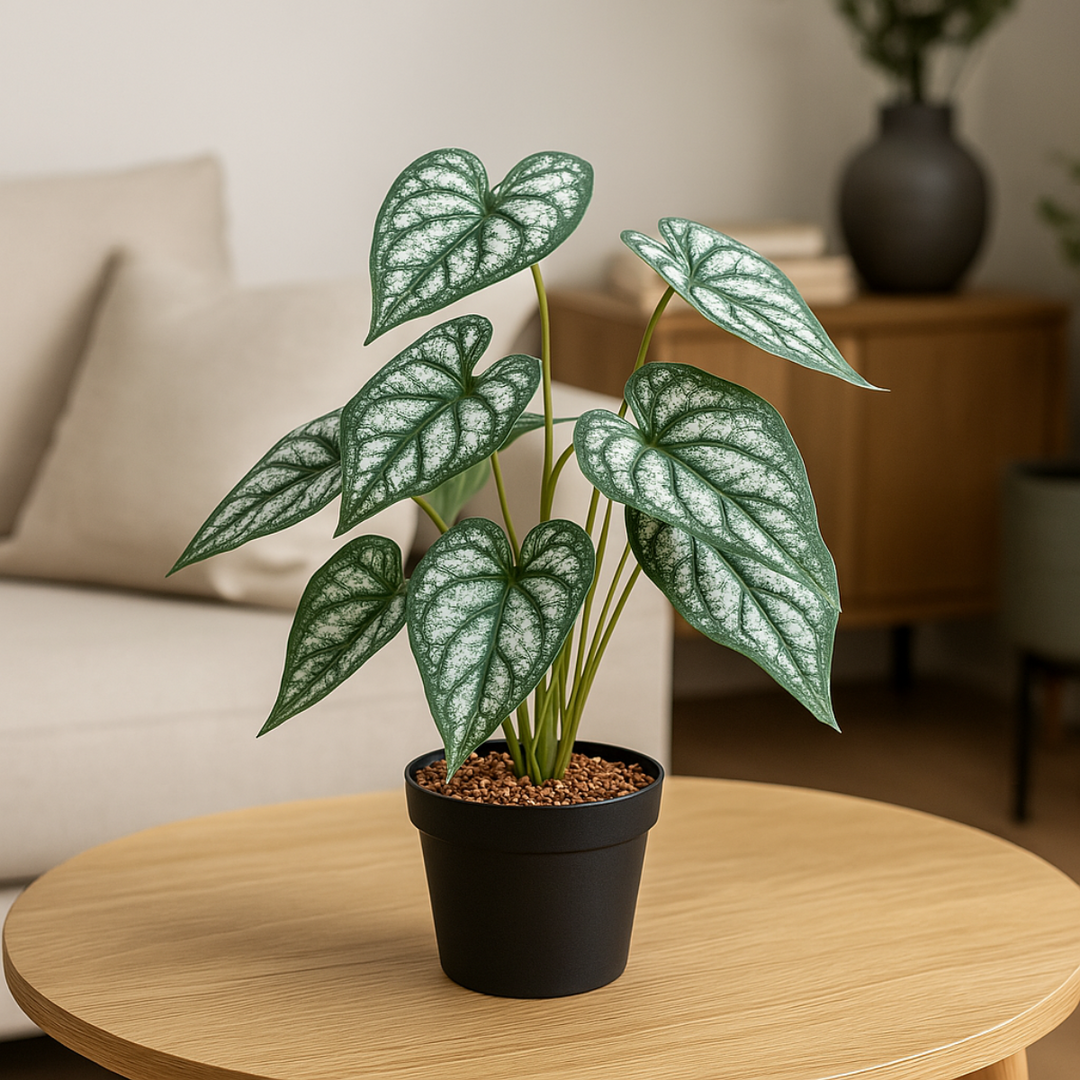 Syngonium Kunstpflanze 38 cm. 2er-Bündel