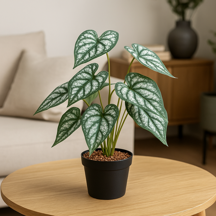 Syngonium Kunstpflanze 38 cm. 2er-Bündel