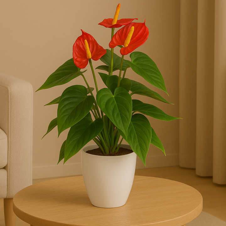 Anthurium Kunstpflanze 40 cm