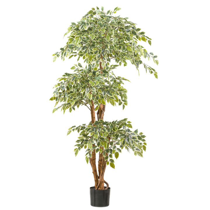 Ficus Benjamina kunstplant 165 cm