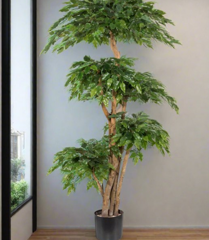 Ficus Benja kunstplant 170 cm
