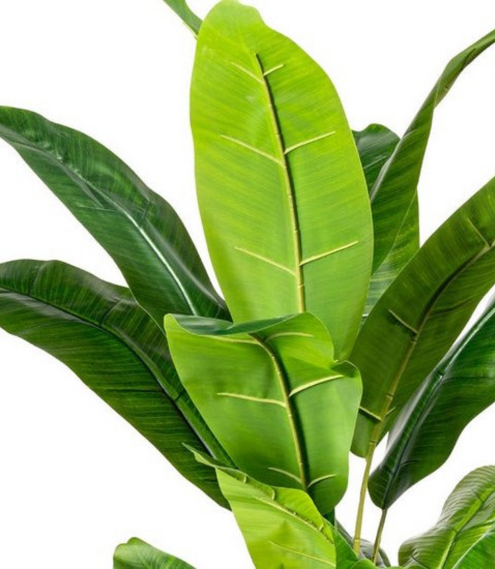 Bananenplant kunstplant 150 cm