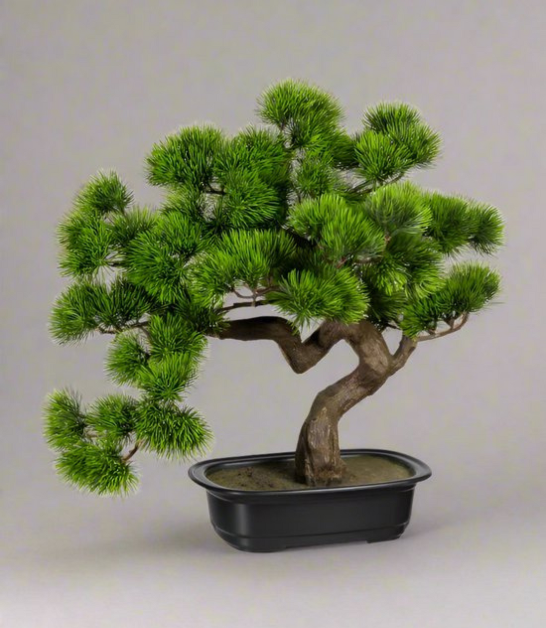 Bonsai Kiefer kunstplant 40 cm