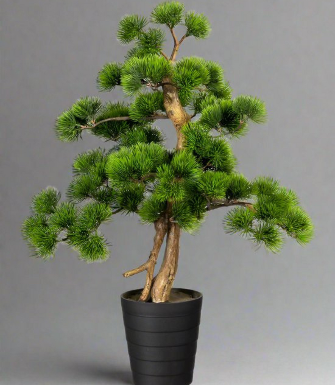 Bonsai Kiefer Kunstpflanze 60 cm