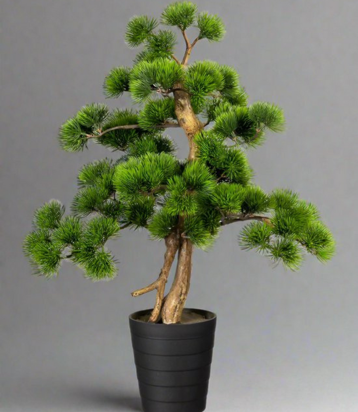 Bonsai Kiefer Kunstpflanze 60 cm